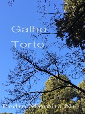 cover image of Galho Torto